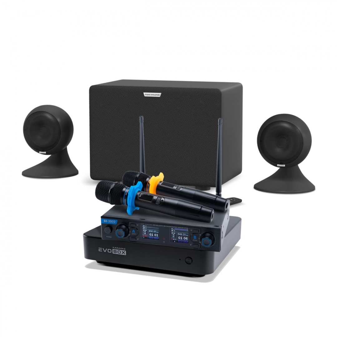 караоке-комплект EVOBOX + EvoSound Sphere 2.1 в Североморске