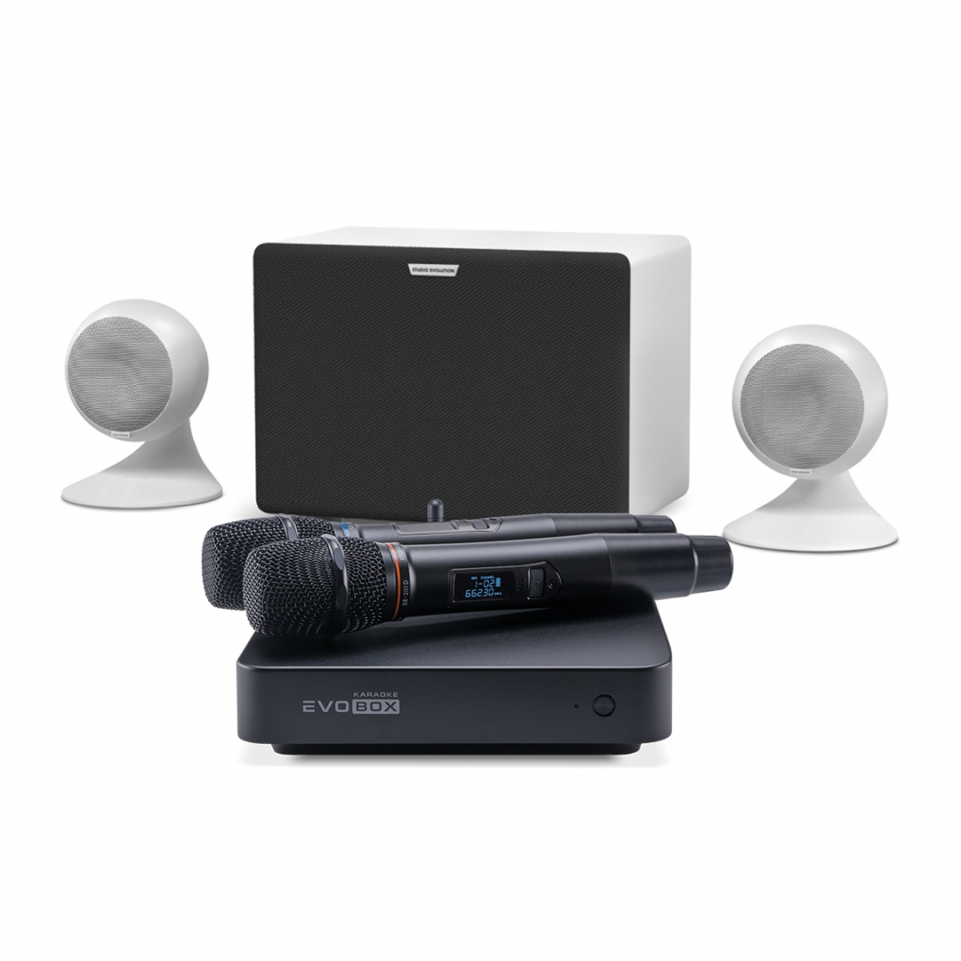 караоке-комплект EVOBOX Classic + EvoSound Sphere 2.1 в Североморске