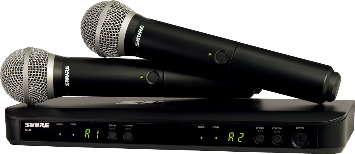 SHURE BLX288E/PG58 M17 вокальная радиосистема в Североморске