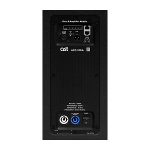 Активная акустическая система AST-310A в Североморске