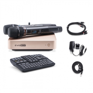 EVOBOX Plus караоке-система для дома в Североморске