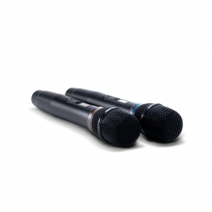SE-200D цифровые микрофоны в Североморске