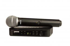 SHURE BLX24E/PG58 M17 вокальная радиосистема в Североморске